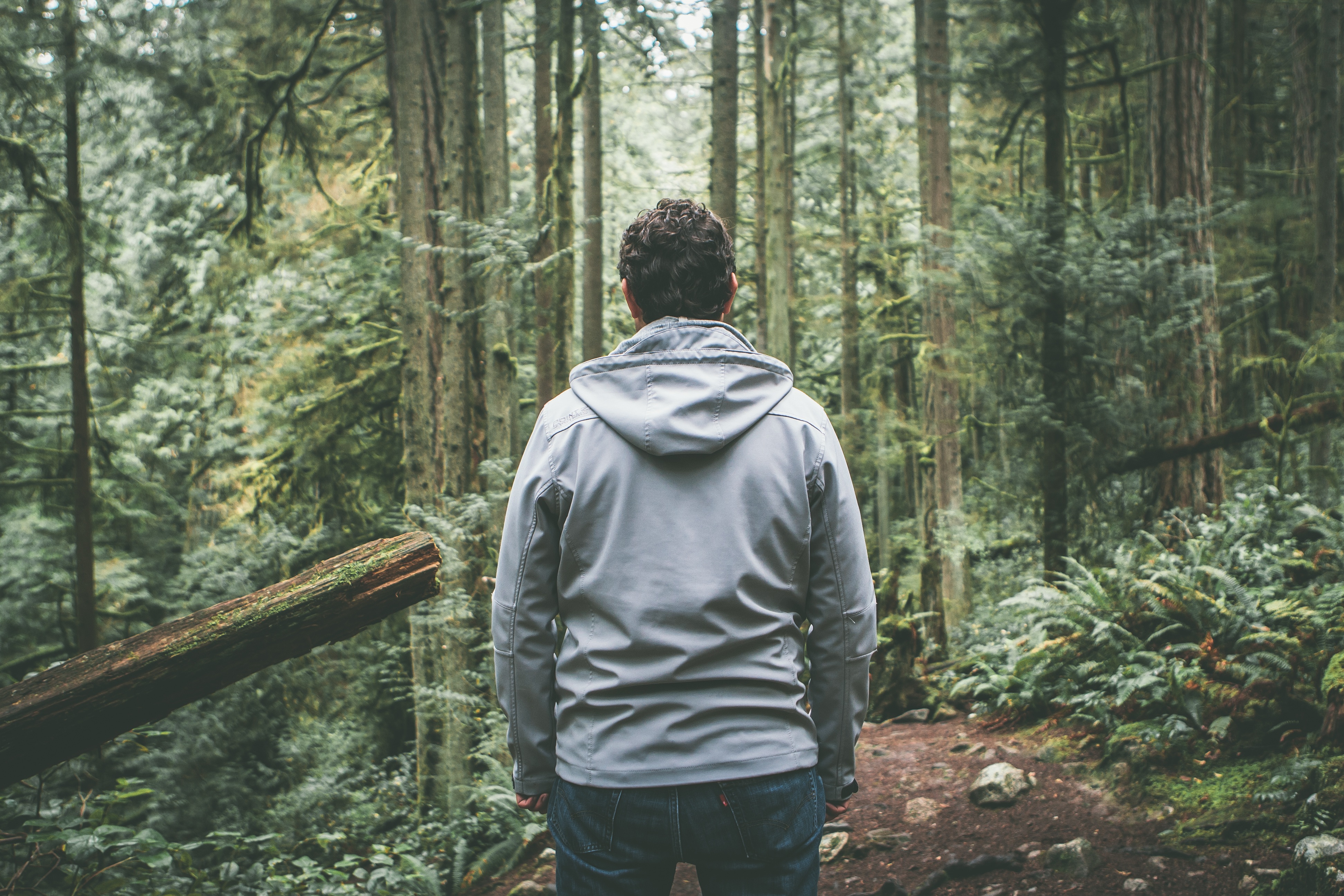 pixabay.com