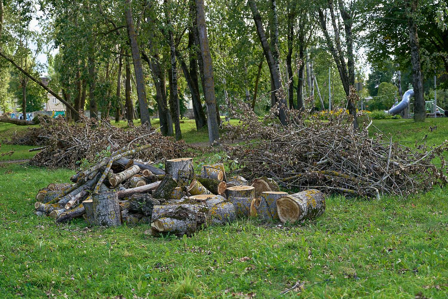 Flickr.com / Rīga