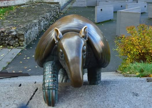 Foto: соцсети