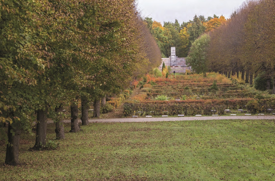 Фото Вилены Краснитской
