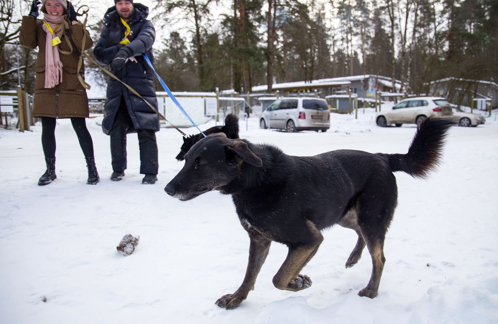 Фото Вилены Краснитской