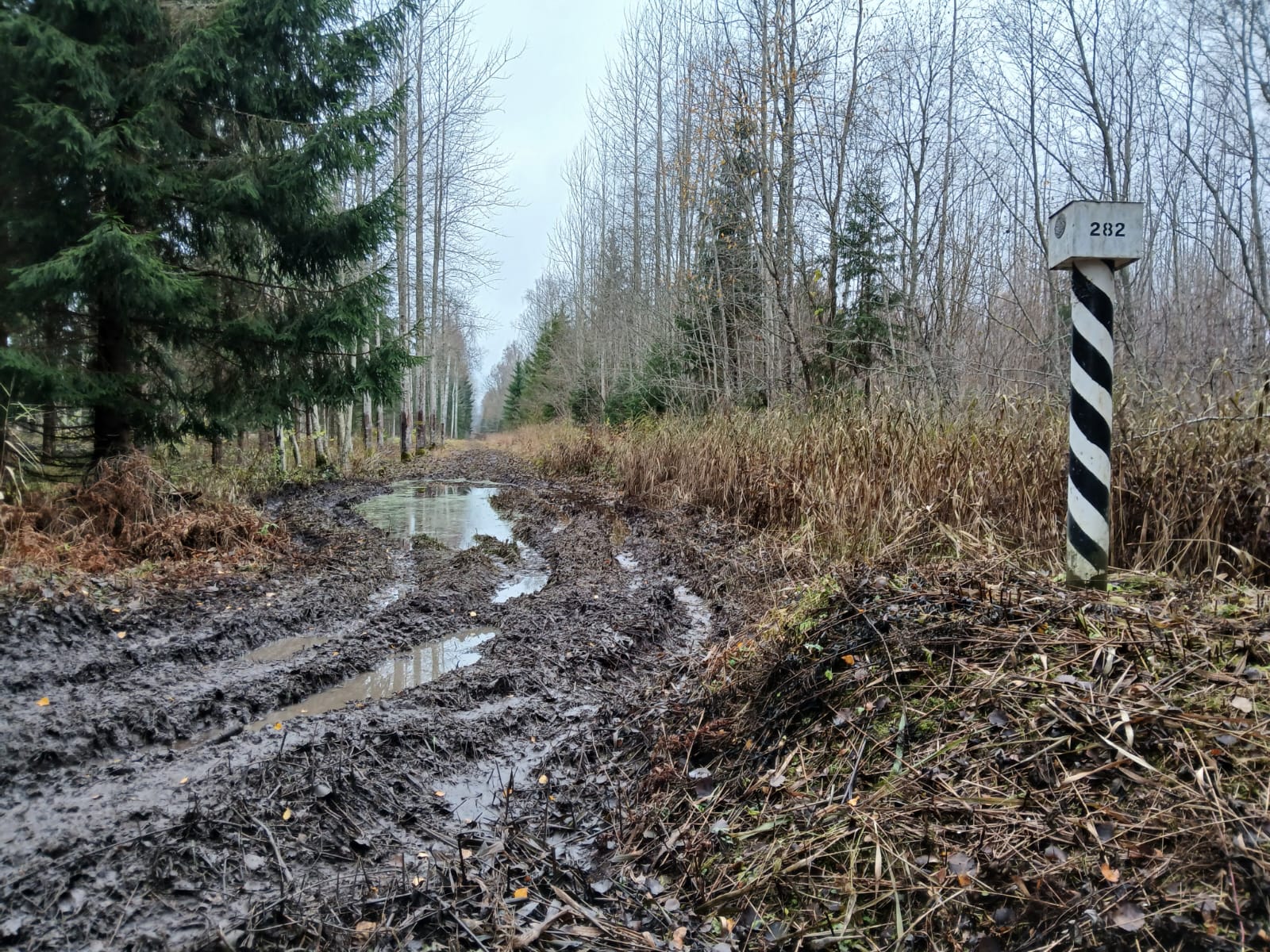 Facebook / Valsts robežsardze