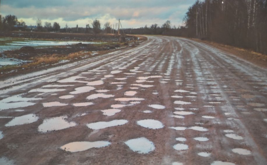 Фото: соцсети