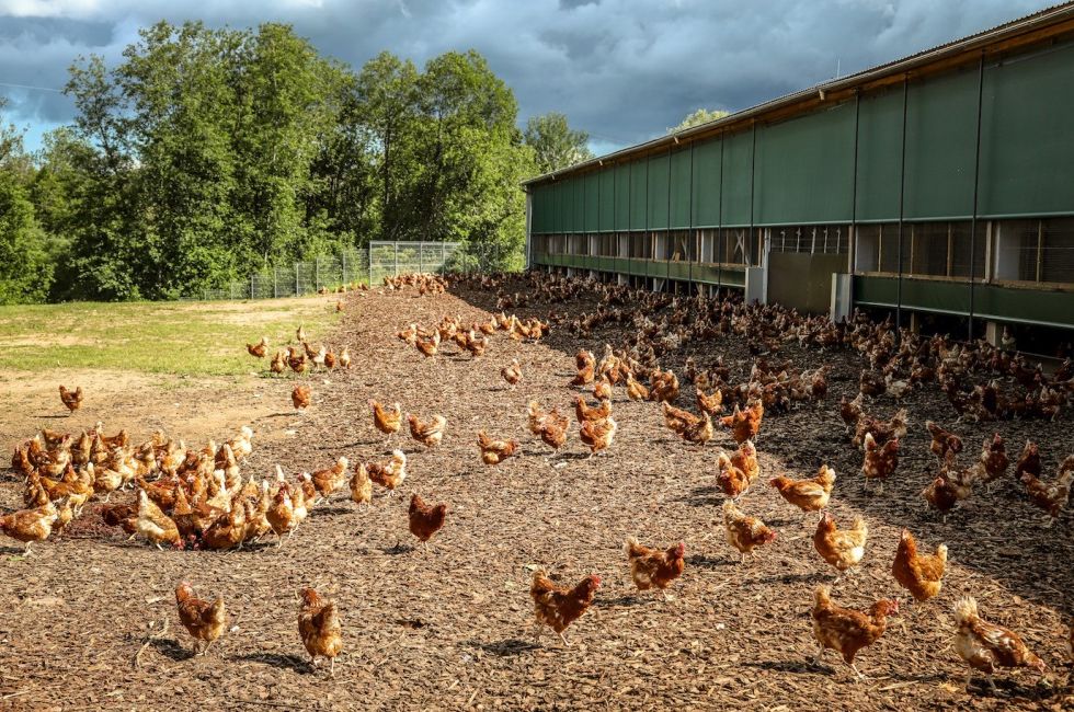 Фото: Facebook.com / Aprinkis.lv