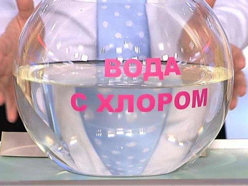 Facebook.com / Алиса Гончарова