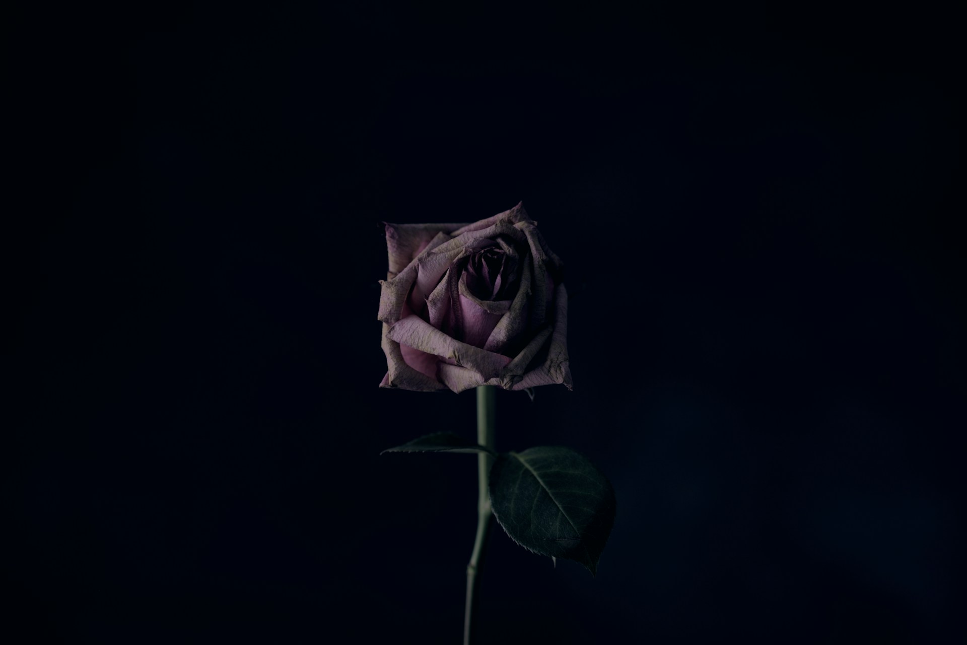 Unsplash.com