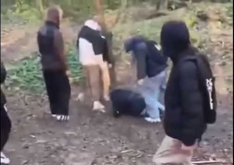 Скриншот из видео