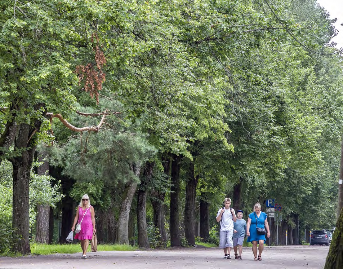 Фото Вилены Красницкой