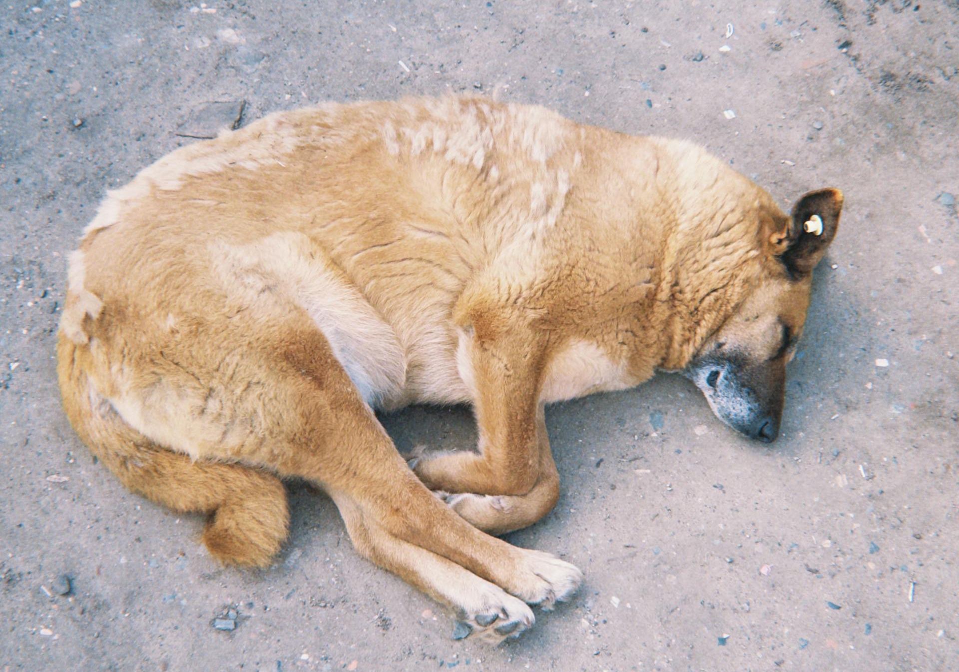 Pexels.com / rescriptt rescriptt