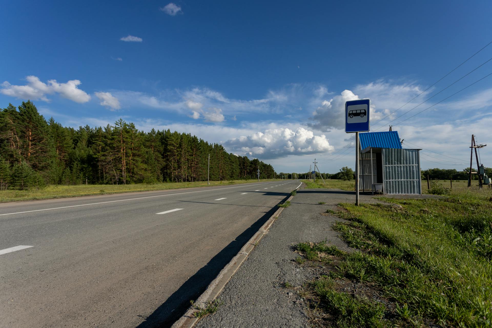 Pexels.com / Михаил Крамор