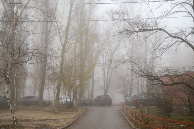 Фото: соцсети