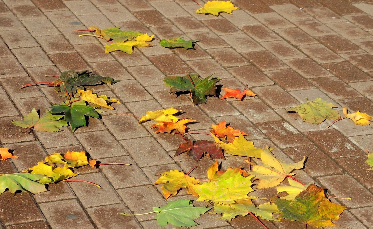 Фото: соцсети