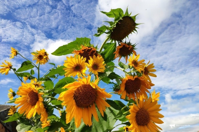 Фото: соцсети