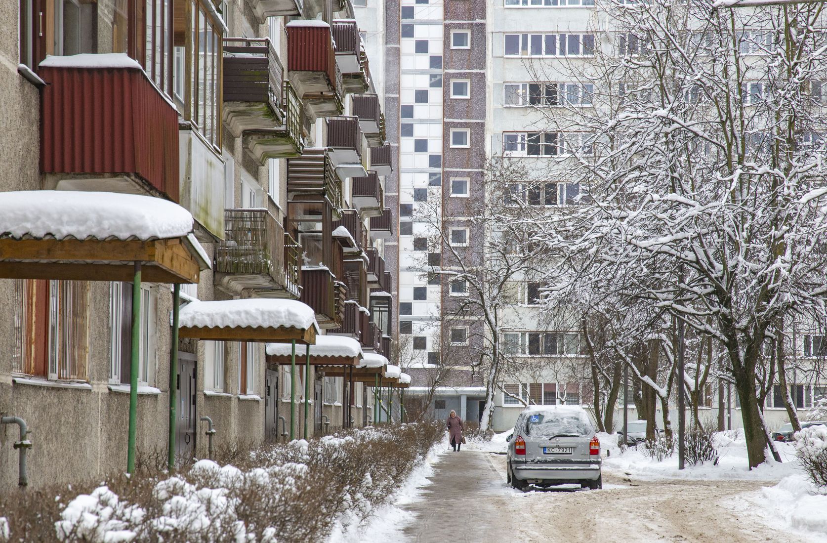 Вилена Краснитская