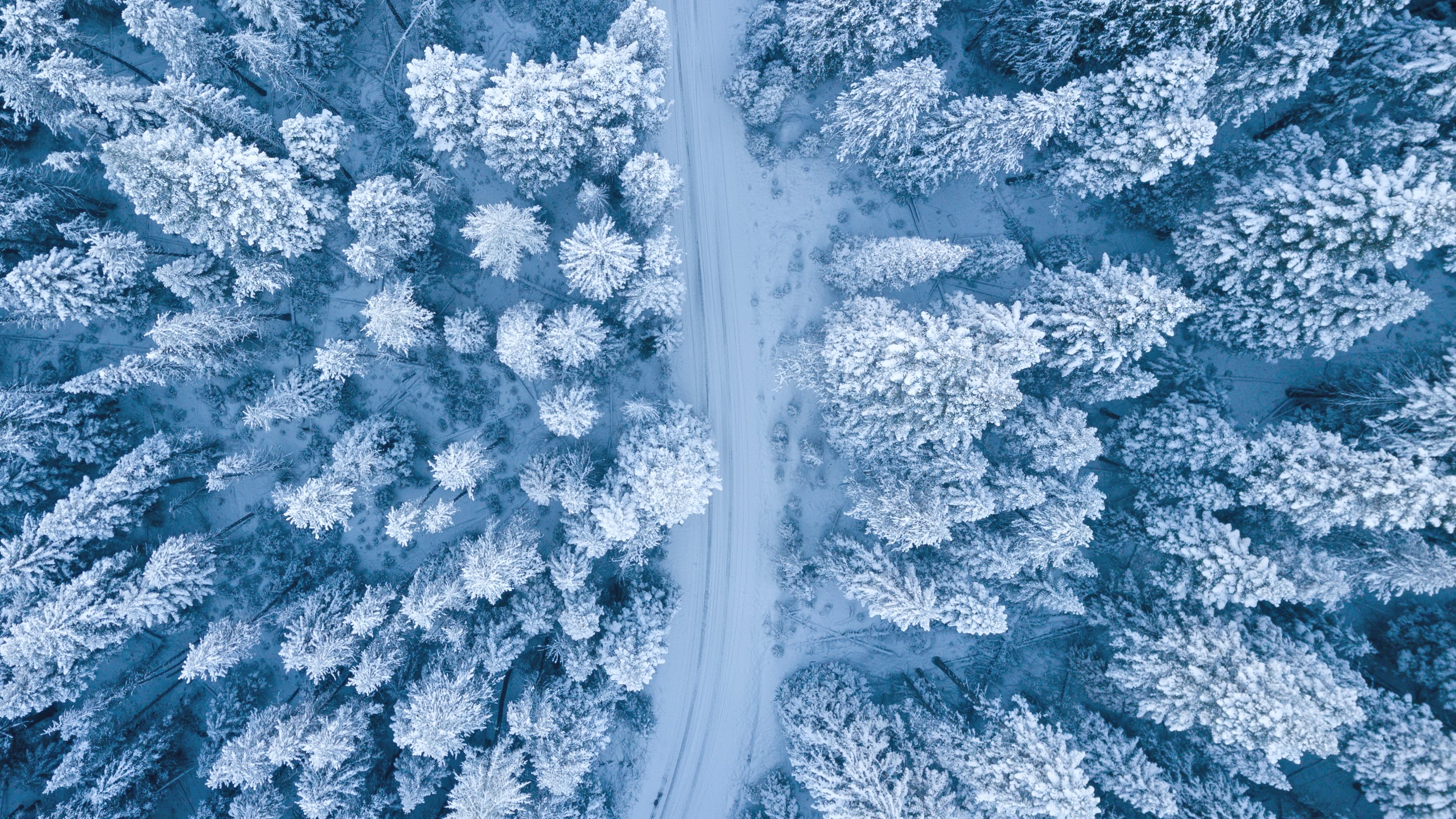 Pexels.com / Ruvim Miksanskiy